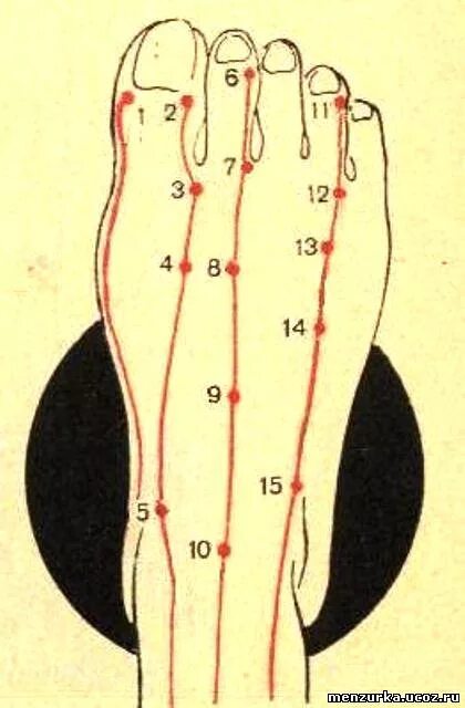 Точки акупунктуры 6lx. Стопа акупунктурные точки правая Меридиан. Китайская медицина меридианы точки на ногах. Точки акупунктуры меридианов стопы.