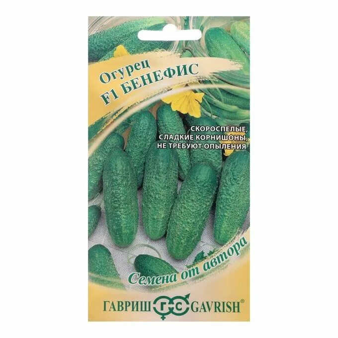 Огурец бенефис f1 описание. Бенефис f1. Огурец кибрия f1. Огурец бенефис f1. Огурцы бакинские семена.