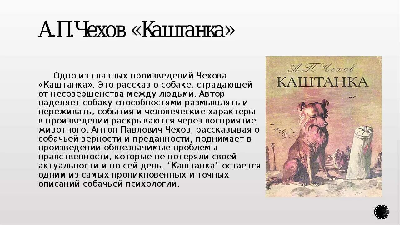 Герой какого произведения при рождении был. А П Чехов каштанка краткое содержание. Аннотация к рассказу каштанка. Книга Чехова каштанка. Рассказ а п Чехова каштанка.