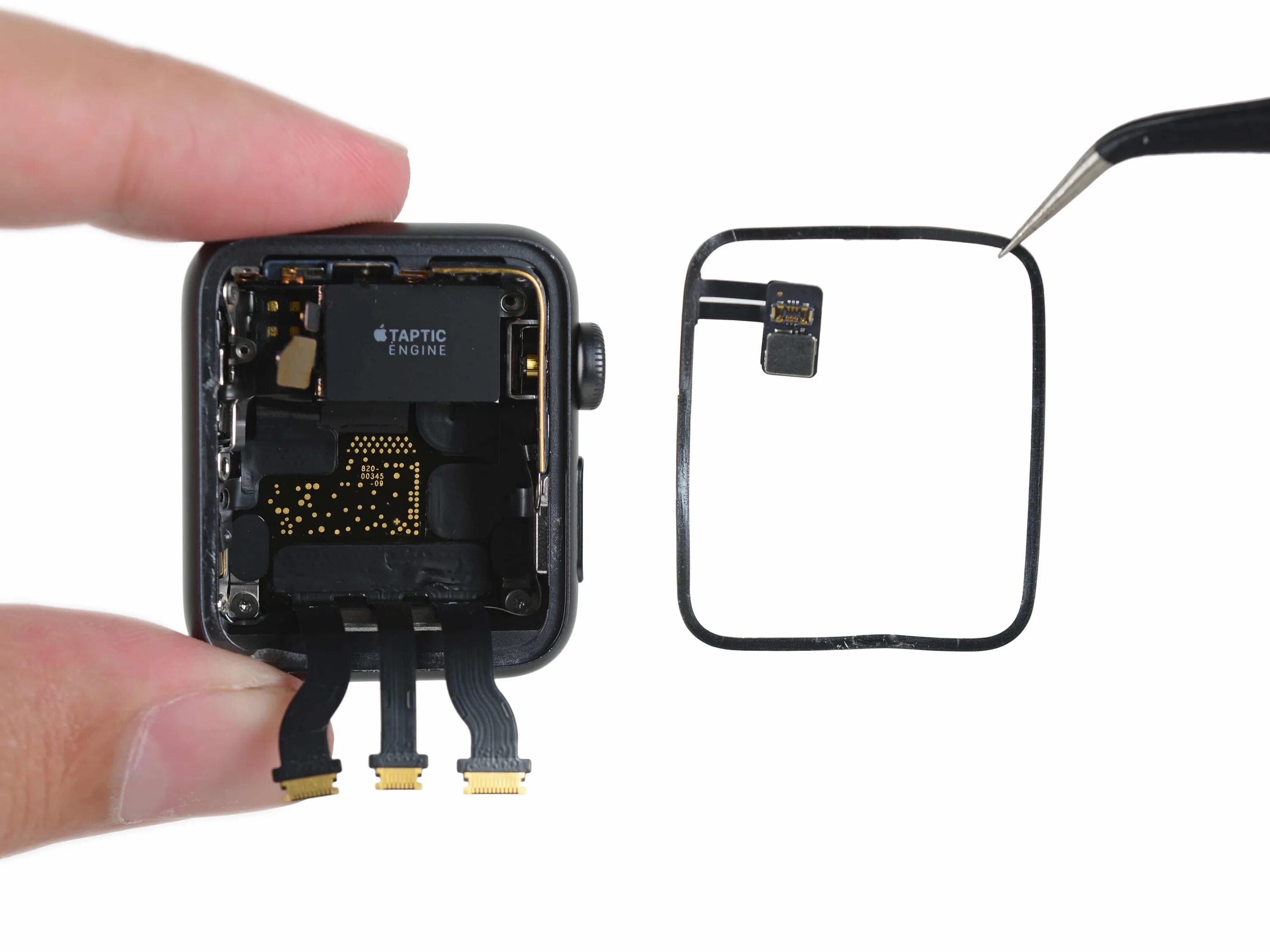 Сервисный центр apple watch undefined. Антенна apple watch series 5. apple iwatch 3 антенна. apple watch wifi антенна. apple watch series 7 ifixit.