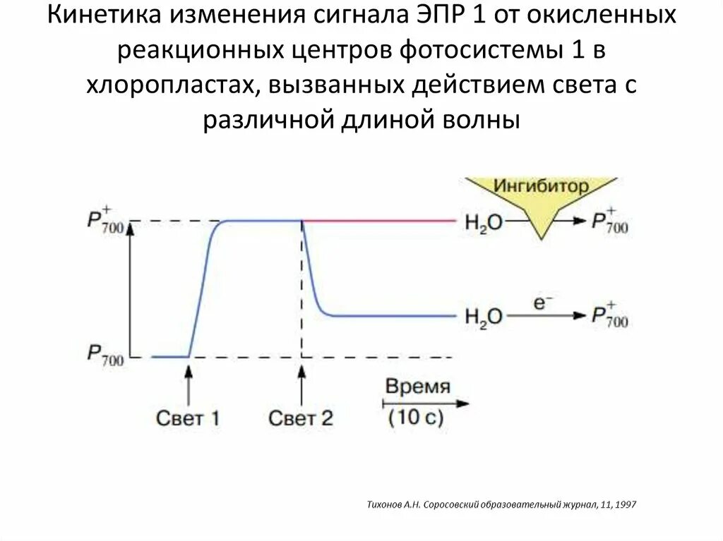 Применение ЭПР. ЭПР спектроскопия. Искажение сигнала ЭПР. Реакционный центр фотосистемы. Скорость изменения сигнала