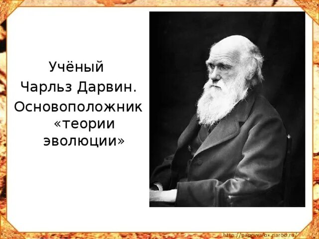Основоположник учения об эволюции. Чарльз дарвин основоположник учения. чарльз дарвин основоположник учения об эволюции. основоположник эволюционного учения. дарвин основатель эволюционной теории.