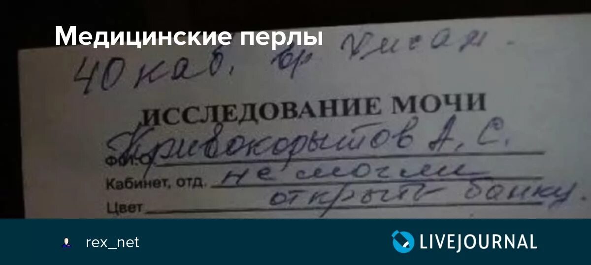 Перлы это. Врачебные перлы. Медицинские перлы юмор. Перлы из истории болезни. Выражение перлы.