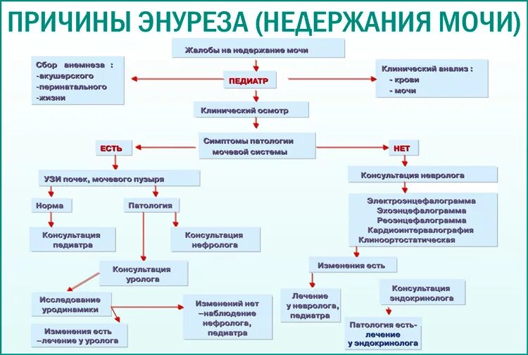 Энурез у мужчин лечение