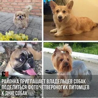 Приглашенные хозяевами