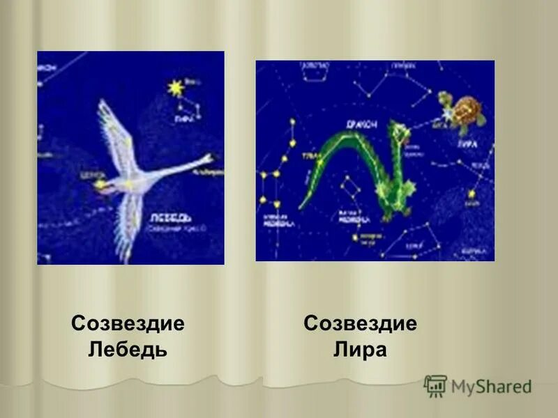 Созвездие лебедь окружающий мир 4 класс. Созвездие лебедь. Созвездие лебедь окружающий мир 2. Созвездие лебедь в какое время года. Созвездие лебедь рассказ для детей 2 класса окружающий мир.