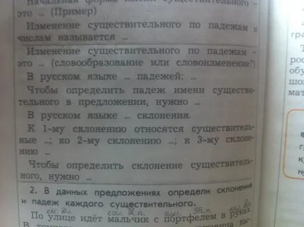 Чайка постоянные признаки