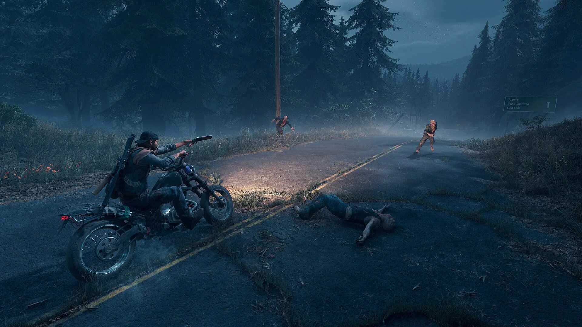 Почему days gone. Days gone. days игра -days gone. игра days gone 2. days gone системные требования.