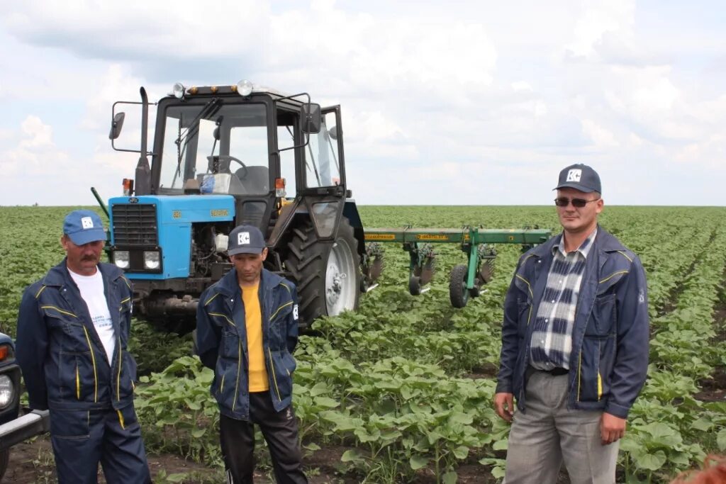 погода на неделю истобное воронежская область
