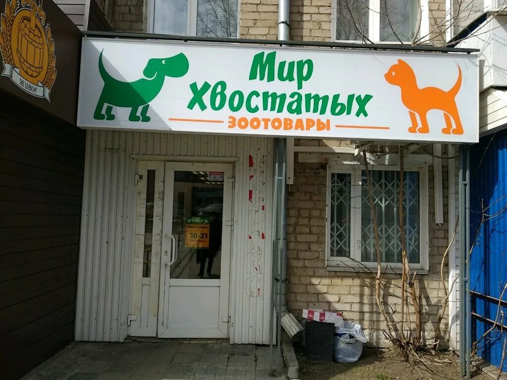 Мир хвостатых пермь сайт