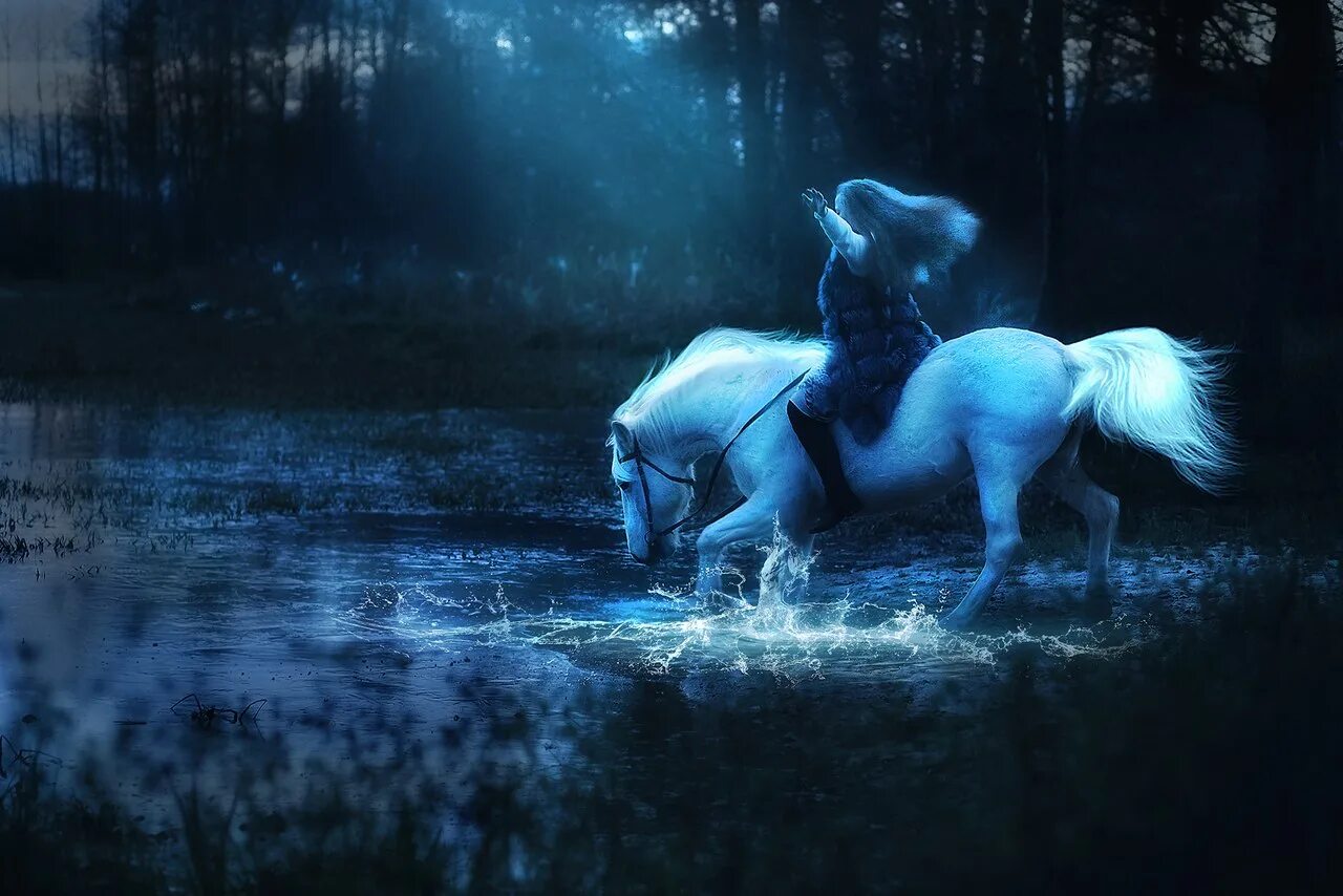 Водяная лошадь это. Кельпи. Kelpie Horse. Единорог (мифология). Конь буря.
