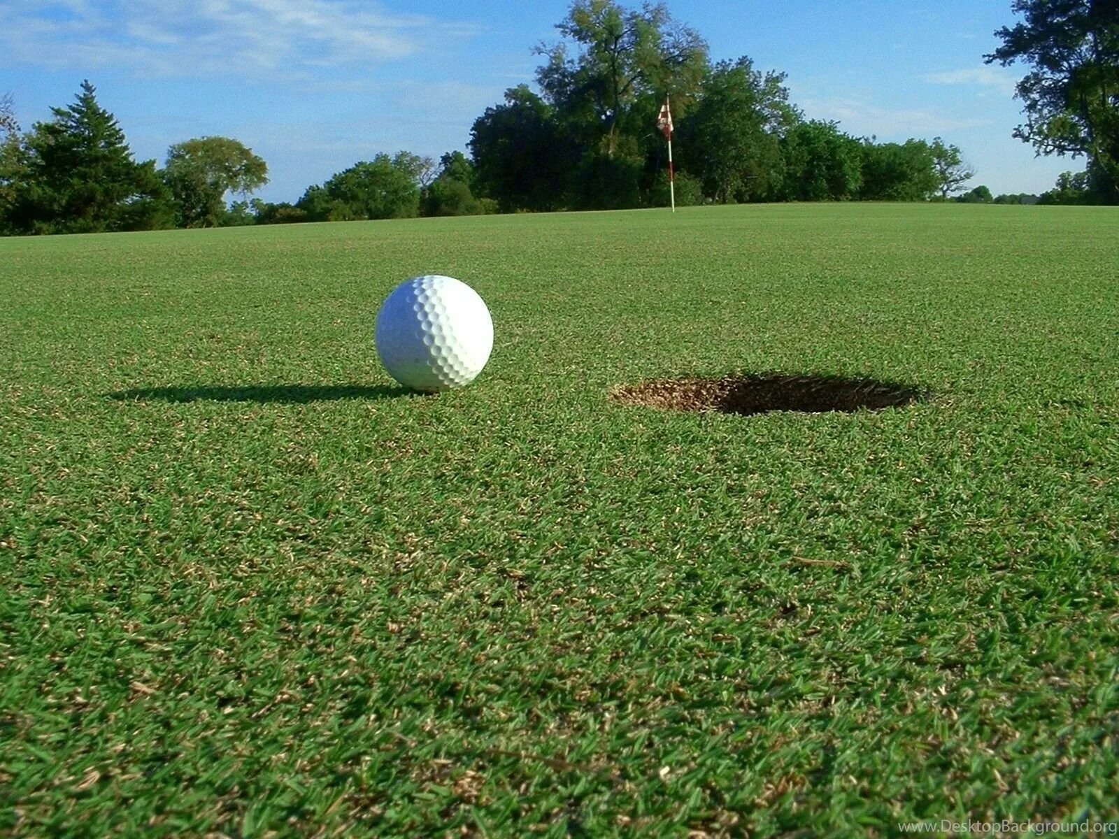 Lost ball. Поле для гольфа. Газон для гольфа. Газон на поле для гольфа. Спортивный газон гольф.