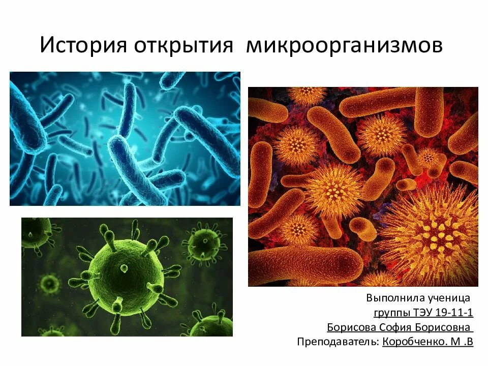 Микробы были открыты
