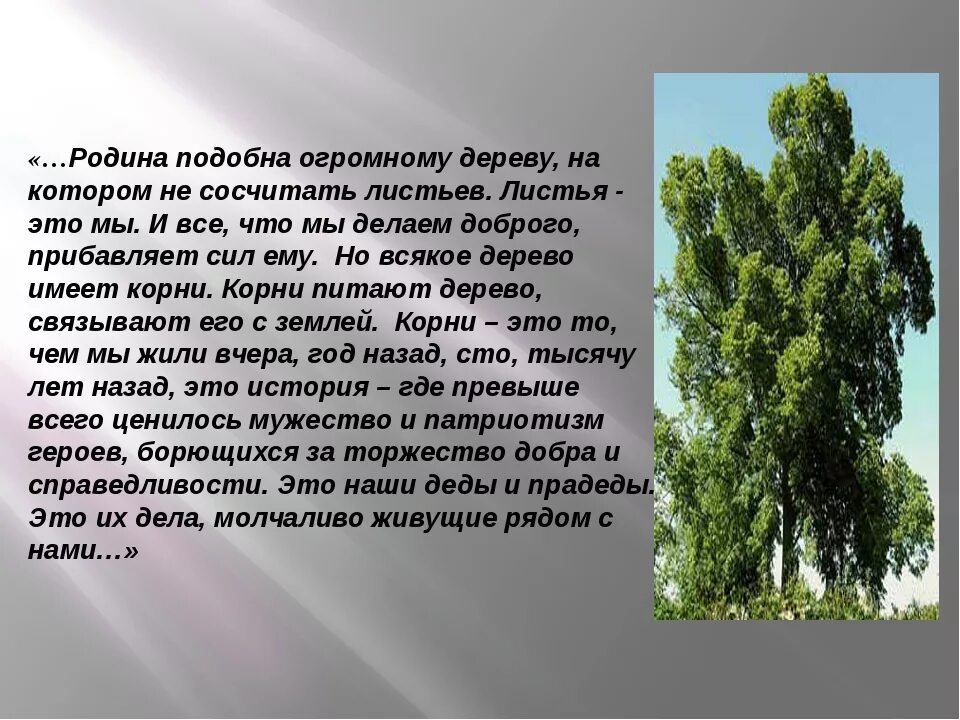 Память о родине сочинение. С чего начинается Родина сочинение. Родина подобна огромному дереву. Эссе на тему с чего начинается Родина. Презентация по теме с чего начинается Родина.