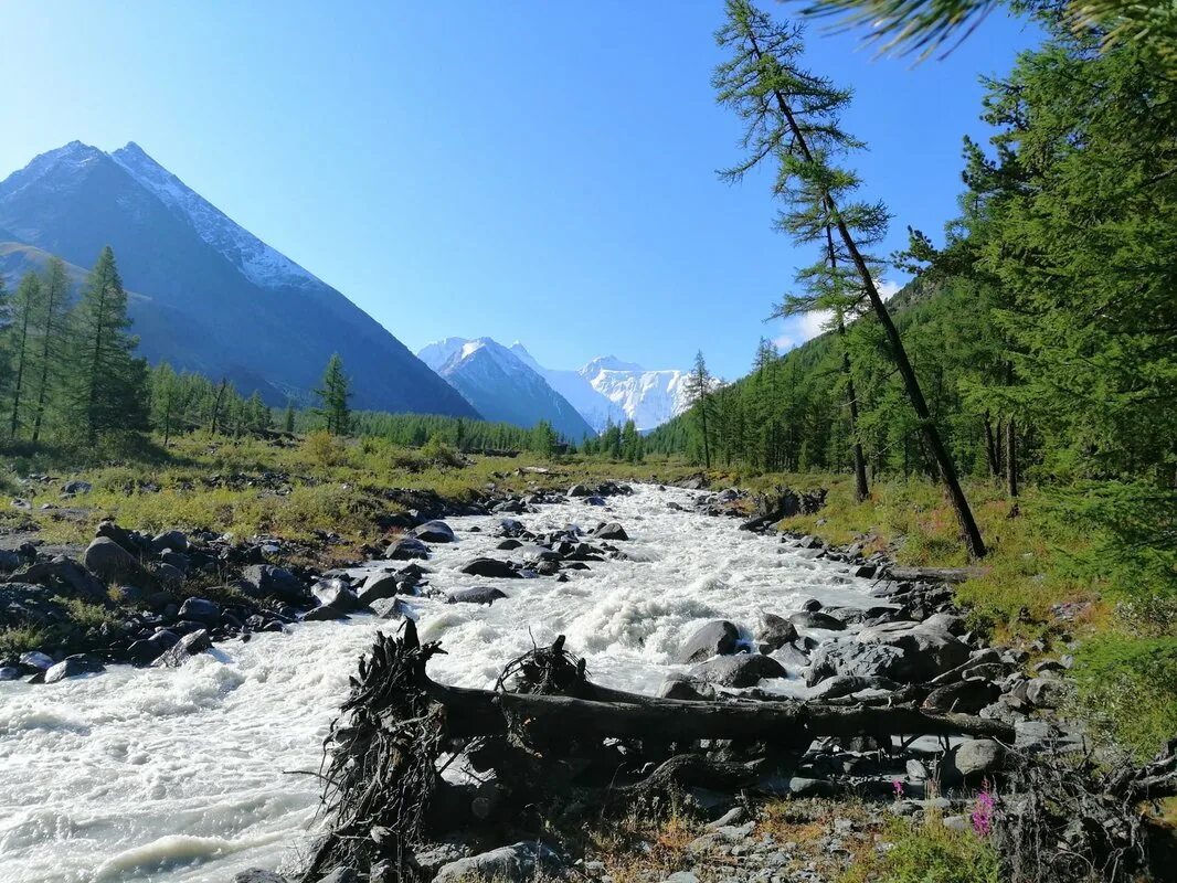 Горно алтайск весной. Река Актру горный Алтай. Медвежья гора Алтай. Водопад Актру. Кучерла горный Алтай.