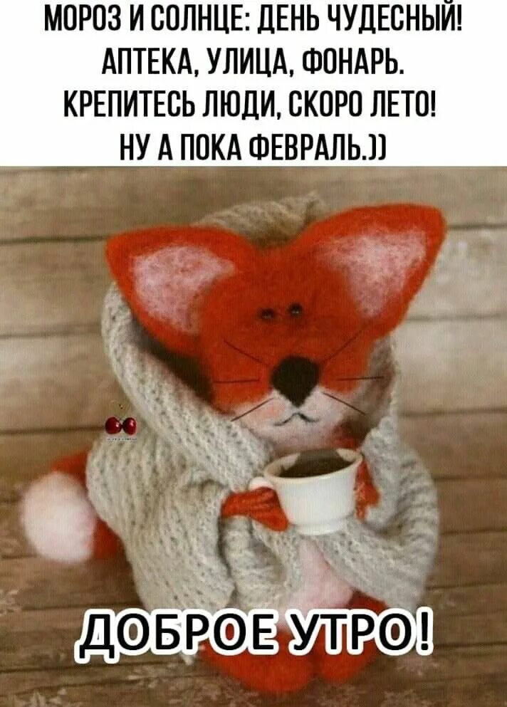 Доброе утро одевайся тепло. Доброе утро смешные. доброе утречко прикольные смешные. с добрым февральским утром картинки прикольные. доброе утро прикол.