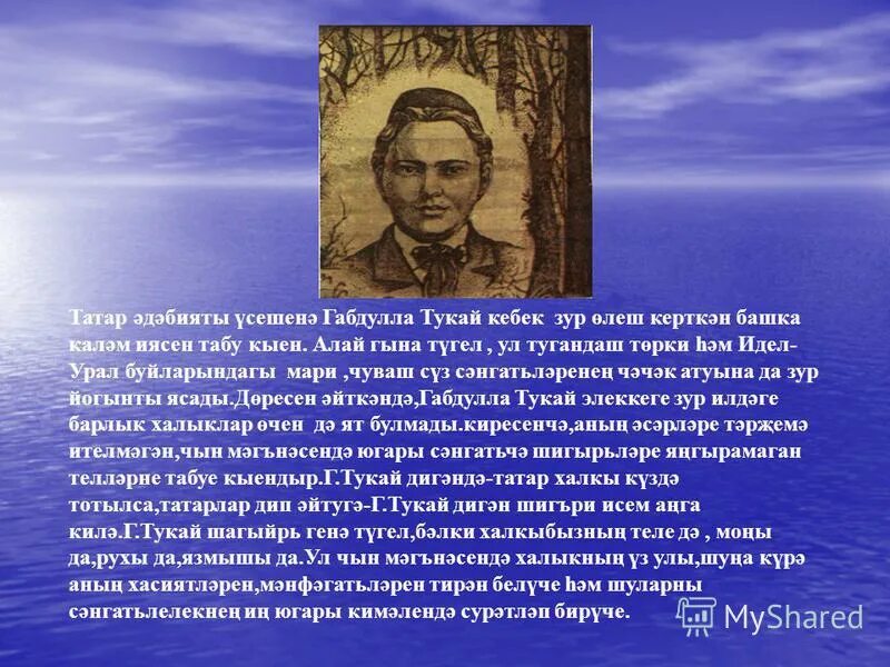 Учебник татарского языка. Татарская литература. Татарский язык и литература. Татарская литература. Татар тарихы книга.