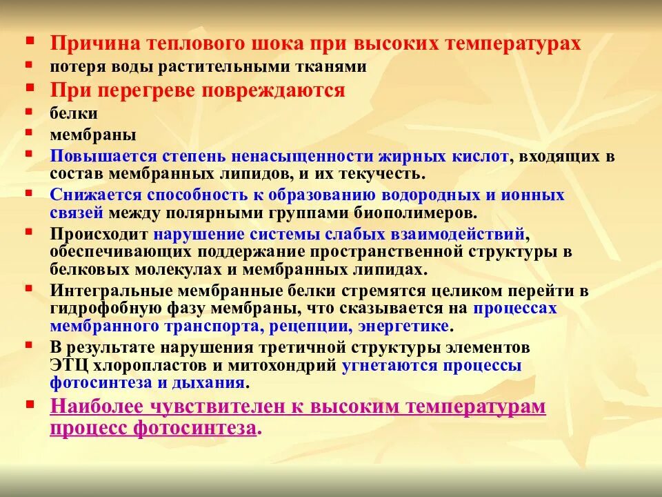Шоковая заморозка температура. Шок 2 и 3 степени. Шкаф шоковой заморозки abat шок-20-1/1м. Шоковая заморозка продуктов. Клиническая картина инфекционно токсического шока.