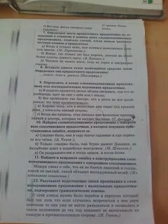 Всюду где только лес был пореже лежали