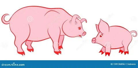 Mother pig