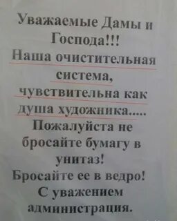 Дорогие дамы и господа