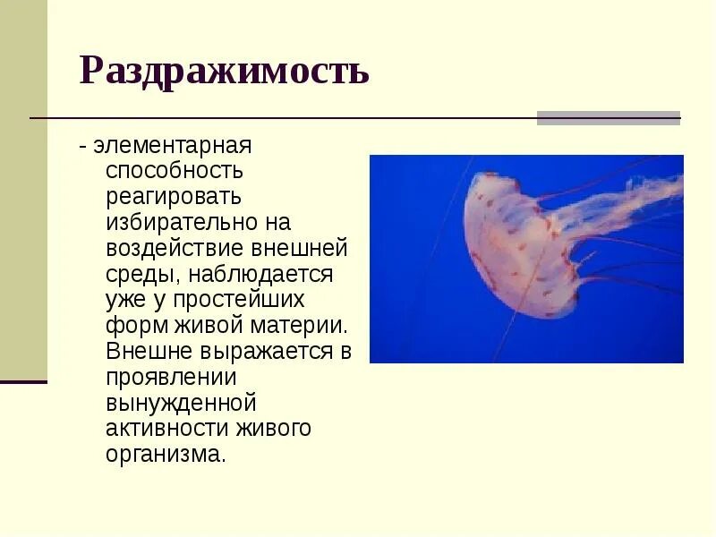 Что такое раздражимость каково значение избирательной. Раздражимость живых организмов. раздражимость простейших. раздражимость свойство живых организмов. формы проявления раздражимости.
