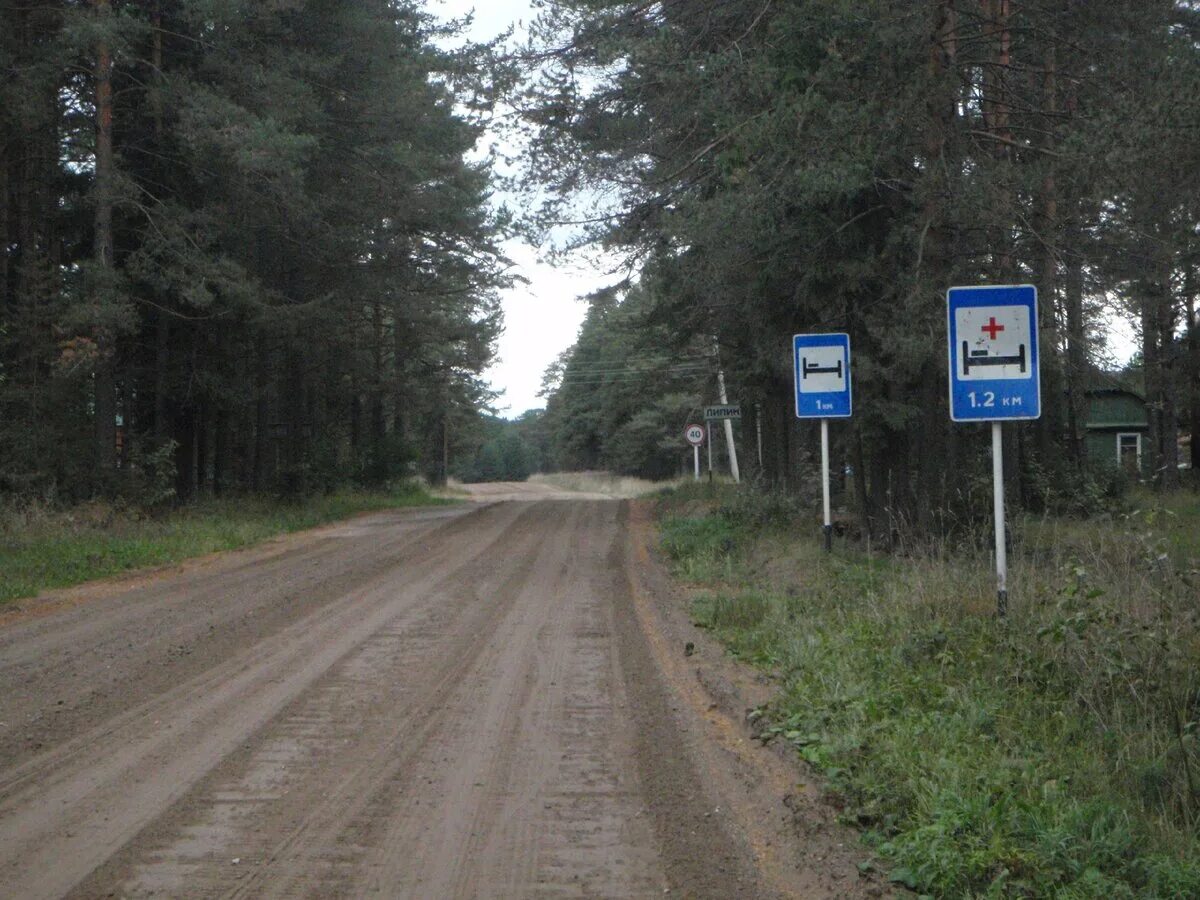 Погода в каргополе архангельской 10 дней. Дорога Пудож Каргополь. Индекс Каргополь. Каргополь км 210. Плесецк и Каргополь.