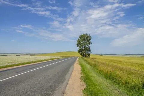 С россоши алтайский край