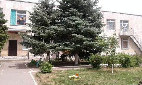 Дс волгодонск