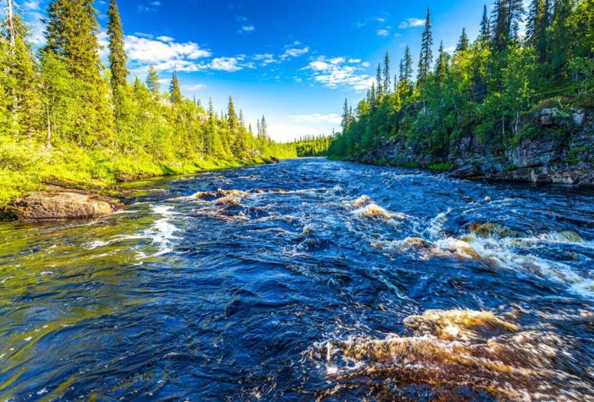 Рек и а вода становилась. Вода река. Пресная вода река. Чистая вода в реке. Коричневая вода в реке.