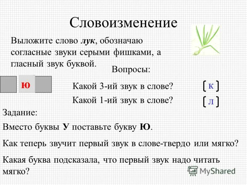 Лук омонимы. Лук омонимы. Виды омонимов. Овощи для детей лук. Лук.