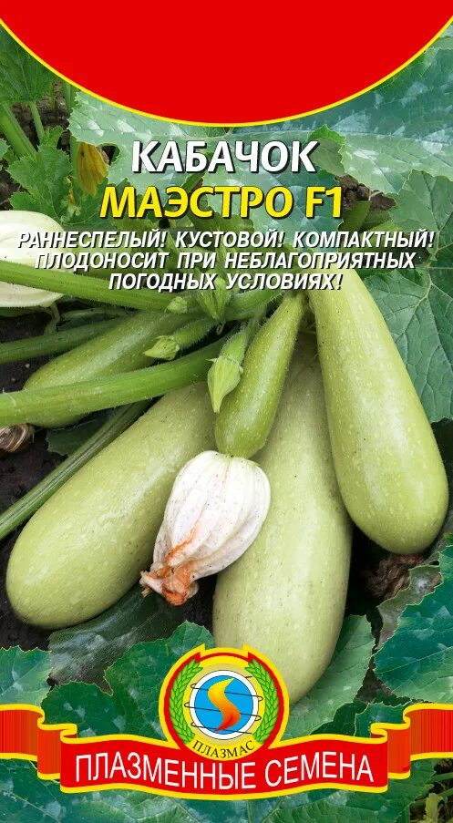 Цуккини цукеша. Кабачок ясмин f1 5шт агроэлита ц. Кабачок цуккини цукеша. Кабачок ясмин f1 желтый (50шт) sakata. Семена кабачков отзывы.