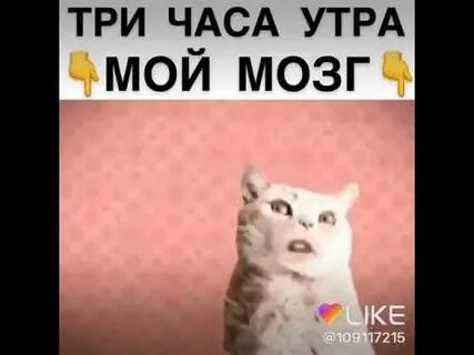 Май хи майя ху