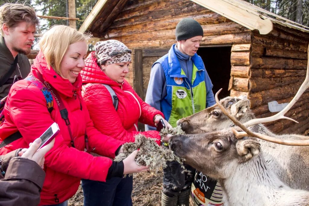 Петрозаводск экскурсии по карелии из петрозаводска. Туристы в Карелии. Познавательный туризм Карелия. Карелия экскурсии. Сельский туризм в Карелии.