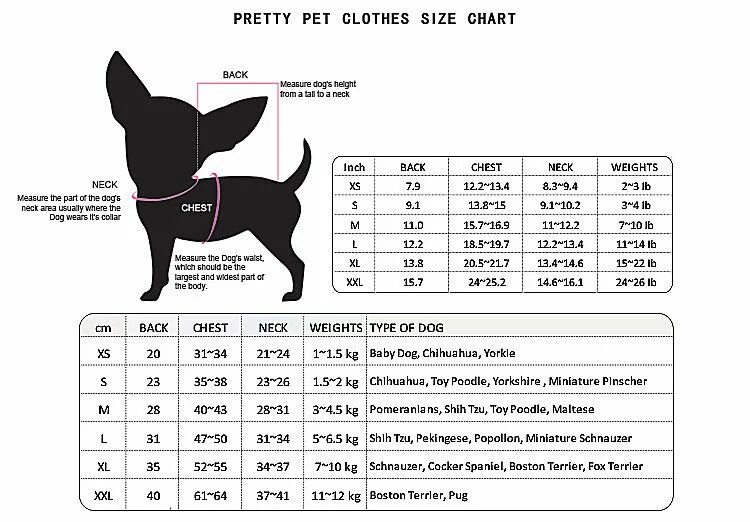 Размер чихуахуа стандарт. Размерная сетка для собак мелких пород чихуахуа. Чихуахуа собака мини-стандарт Размеры. Чихуахуа Размеры взрослой собаки.