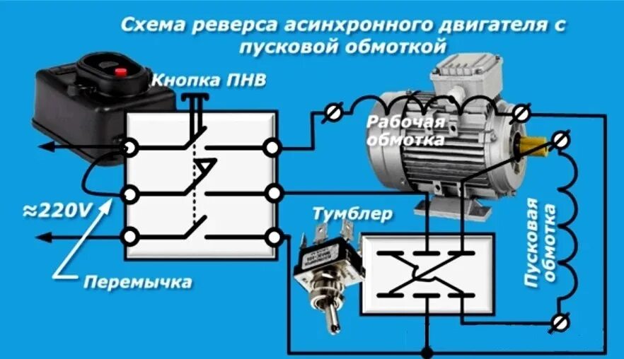 Реверс двигателя на 220 с пусковой обмоткой. Реверс электродвигателя 220в с конденсатором. Реверс асинхронного электродвигателя 220. Реверс асинхронного двигателя с конденсатором на 220 в.