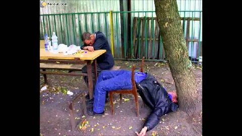 Выпуски про алкашей