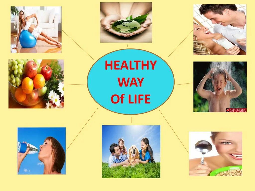 Healthy way of Life презентация. Плакат на тему healthy Lifestyle. Презентация healthy Life. Healthy Lifestyle картинки. Healthy предложения