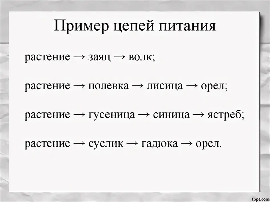 Составить цепи питания моря 5 класс. Составить цепи питания моря 5 класс