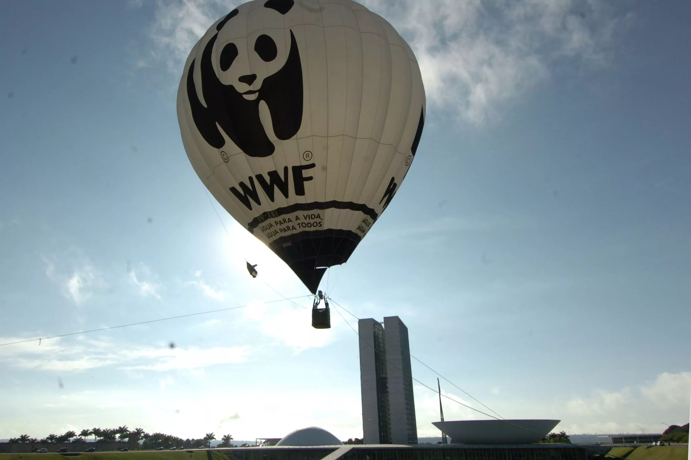 Всемирный фонд дикой природы WWF. Всемирный фонд дикой природы эмблема. Фонд дикой природы в России. Всемирный фронт дикой природы. Символ дикой природы