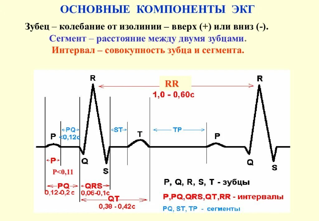 Основные зубцы, сегменты и интервалы ЭКГ.. Нормы зубцов интервалов и сегментов на ЭКГ. Кардиограмма зубцы и интервалы. Зубцы и сегменты ЭКГ норма. Экг со скольки