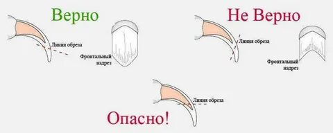 Можно ли в прощенное воскресенье стричь ногти