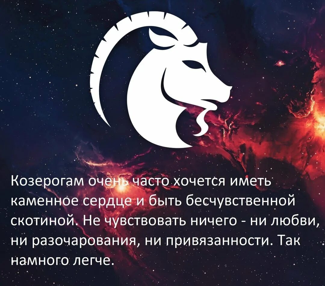 Какой козерог мужчина гороскоп. Козерог. козерог характеристика. факты о козерогах. характеристика знаков зодиака козерог.