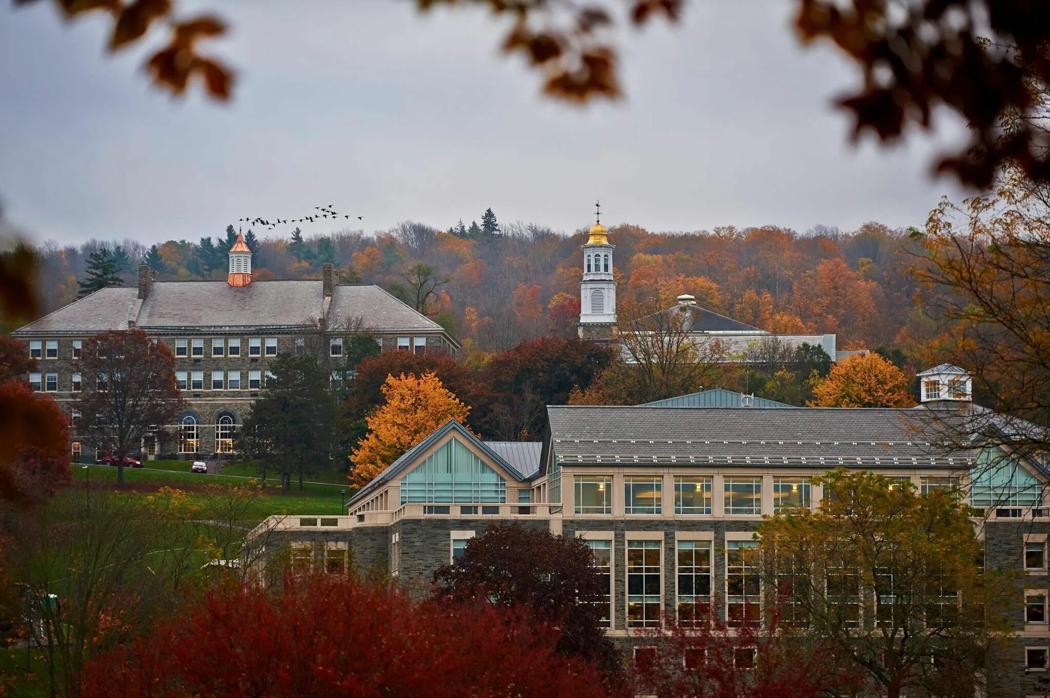 Colgate university. Колгейтский университет в гамильтоне. colgate college. университет колгейт в сша.
