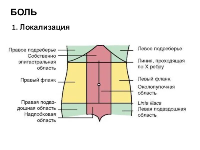 Области живота. Топографические области живота. Правый и левый фланк живота. Области живота анатомия. Подложечная область живота