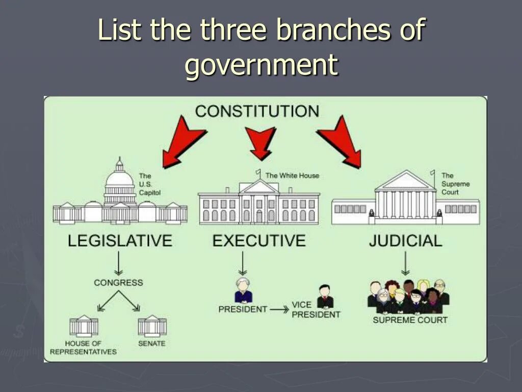 Three branches. The government или a government. Branches of government. Forms of government. Схема three Branches.