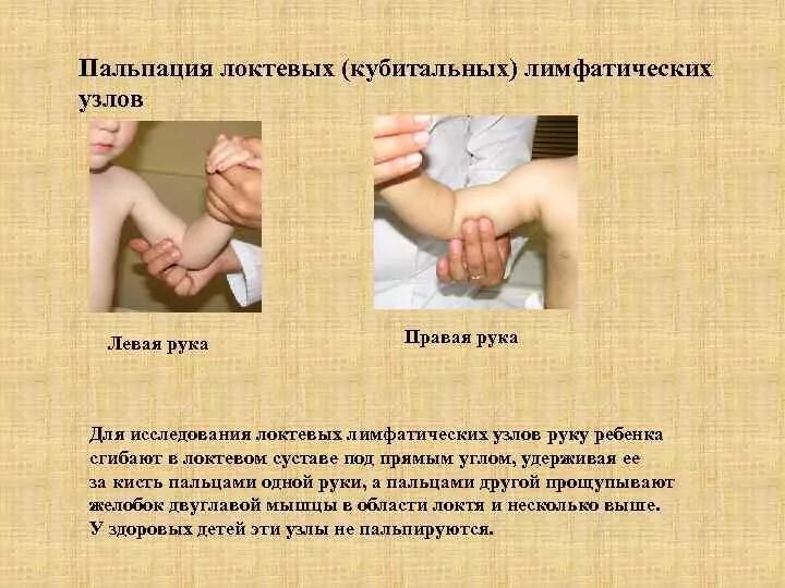 Лимфоузлы на руках расположение у женщин Увеличение лимфоузлов: причины и лечение. Лимфатические узлы: их основная функци