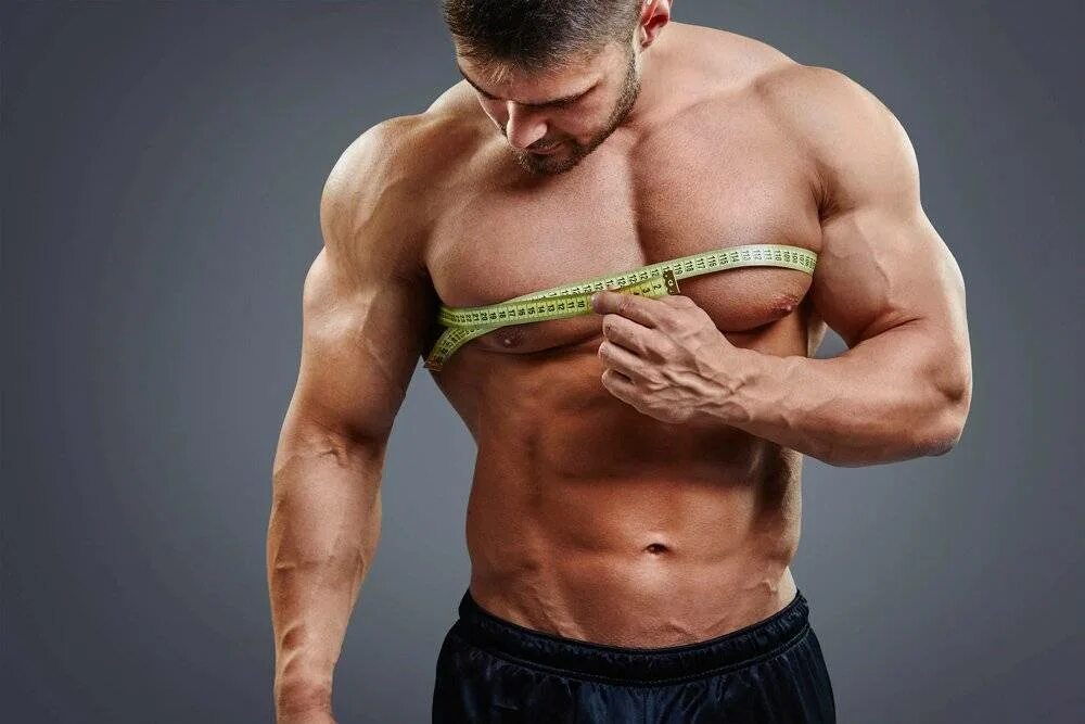 Накачаня мужская грудь. Рост мышц. Мышцы растут. Спортивное Телосложение.
