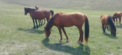 Сыртқы сквирт порно