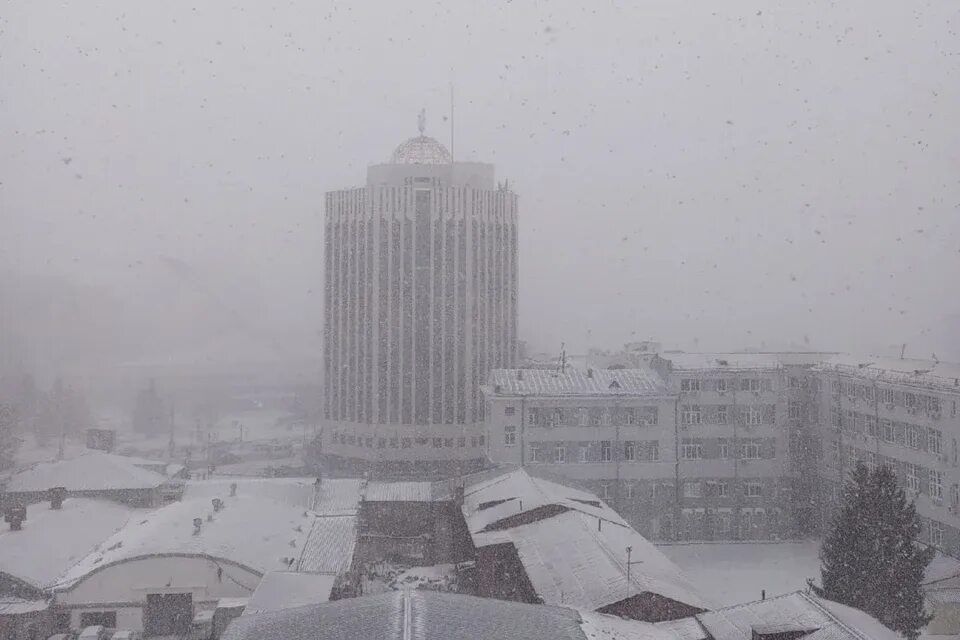 Новосибирск 18 ноября